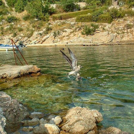 Apartment Ivan Ribarica Εξωτερικό φωτογραφία